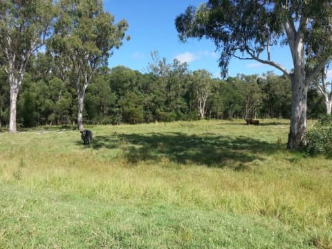 Rl54ntwqvc72qt5mh71w