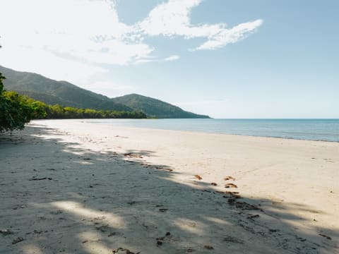 Daintree Rainforest Luxe Eco Lodge For Sale