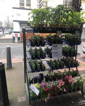 Oakleighs Iconic Florist Nursery Business for Sale SV1585