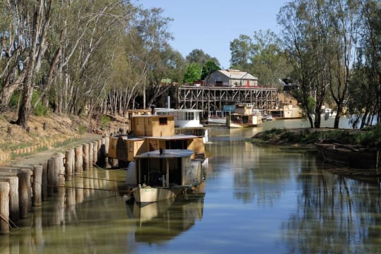 Thriving Pizza Restaurant & Takeaway - Prime Echuca Location