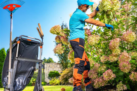 Profitable Garden Maintenance Business near Toorak for Sale