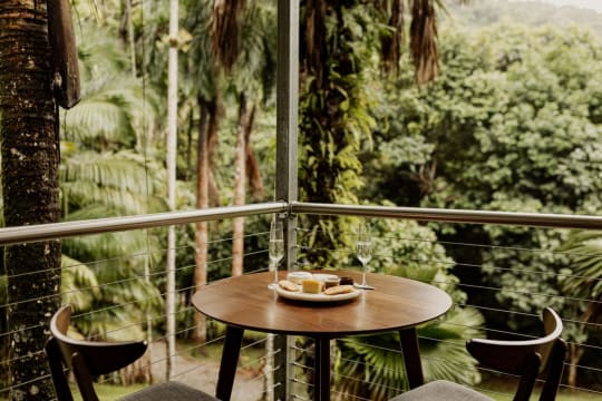 Daintree Rainforest Luxe Eco Lodge For Sale