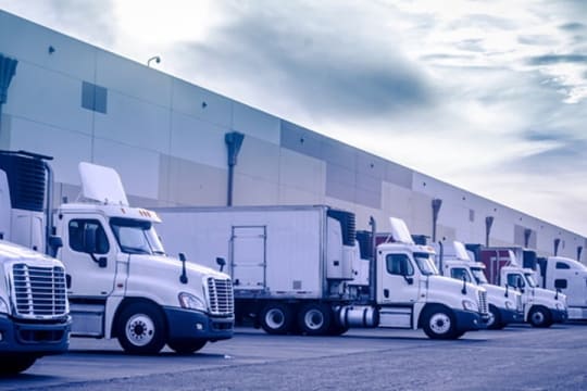 Large 3PL – Logistics/Warehousing and Transport Service Provider #393