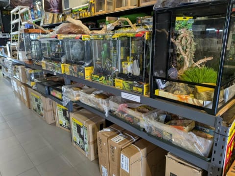 Reptile and Hydroponic Shop – First and Only in WA – Est. 2003 – East Rockingham, WA