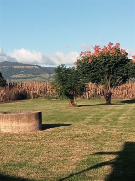 Freehold licensed Cafe / Restaurant with lifestyle