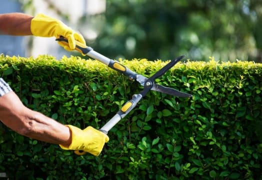Long-Established Lawn/Garden Business: HIGH INCOME! WORK FROM ANYWHERE!