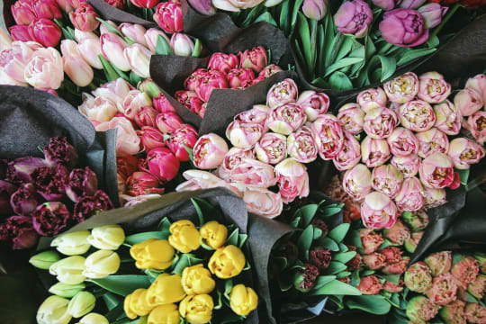 Fresh Produce & Flower Business – Montrose [2608191]