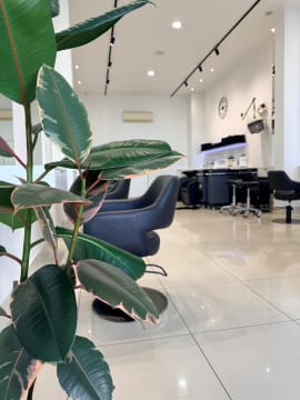 ESTABLISHED GEELONG HAIR SALON FOR SALE
