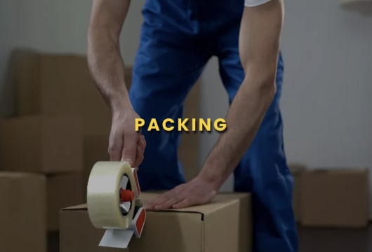 ESTABLISHED REMOVALIST BUSINESS