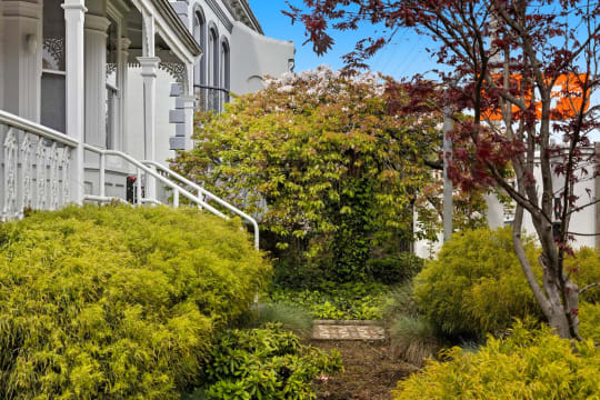 Prime Location Residence with Income or 3 BnB lets (stca) or Health Professional Rooms