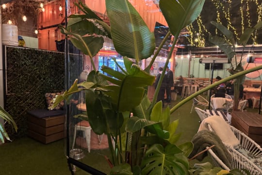 Peachy Keen - Inspired Container Bar