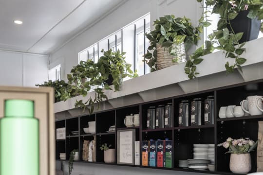 S8mprnf1qtcpodstxfqu