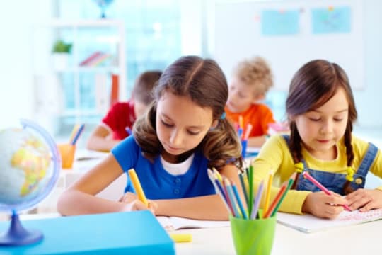 Unique, Import, Wholesale/Distribution and Online School Products Business #424