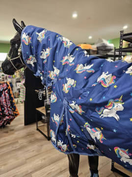 Business for Sale: Thriving Rural Retail Store.