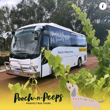 Scpwxhfnjn7ziorkpbtl