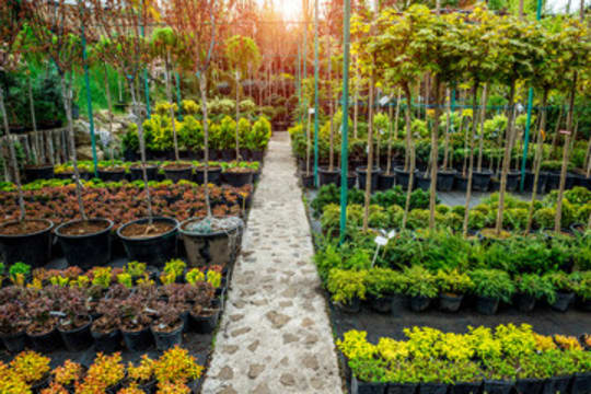 Profitable Regional Nursery | Semi-Passive Operation | Central Victoria