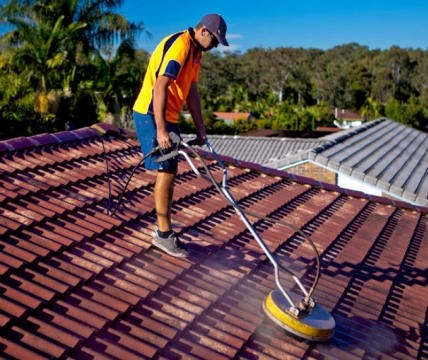 Amazing Earning Potential in Roof Cleaning and Painting