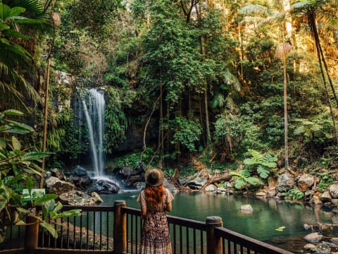 Profitable Restaurant for Sale - Tamborine Mountain QLD