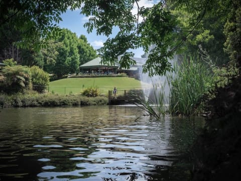 Profitable Restaurant for Sale - Tamborine Mountain QLD