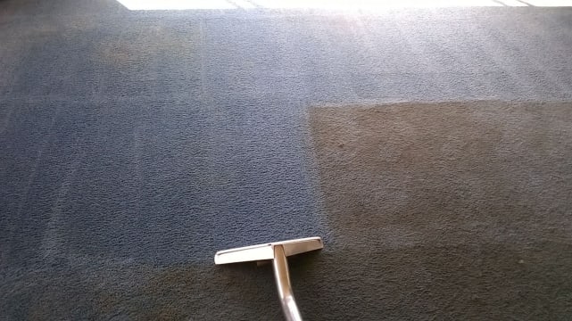 Established Carpet Cleaning Business with 37+ Year History | Loyal Client Base