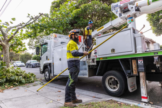 Vegetation Maintenance Municipal Contractor