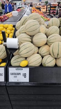 Horticulture Business & 58 Acre Asset | $1.5M+ Capability | Walk-In Walk-Out