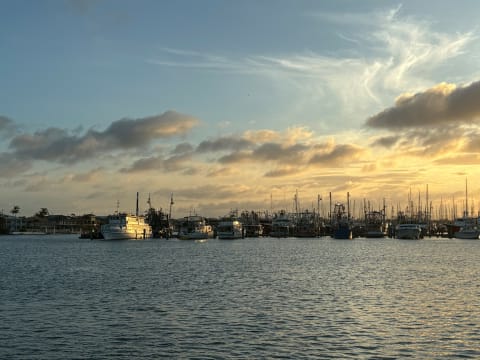 Mixed Management Rights for Sale in Surfers Paradise with 2.00 Multiplier - ID 9167