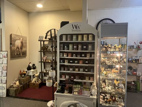 Established Jewellery & Gift Store  52 Years of Success | Scottsdale, Tasmania oo$49K+sav