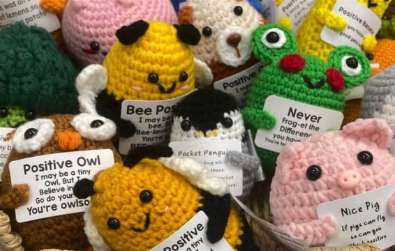 Established Greater Brisbane News agency and Gift Shop