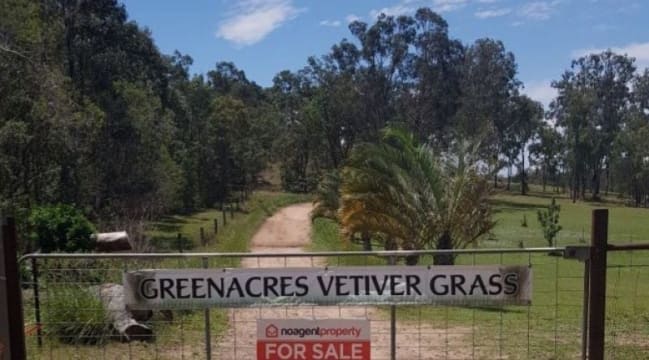 NATURES ENGINEERING WONDER PLANT