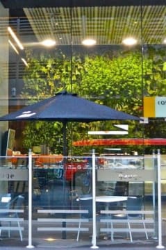 ​COFFEE LOUNGE - TAKING $26000PW . RENT $1150 PW. 40KG COFFEE PW.  TOP TOP LOCATION​