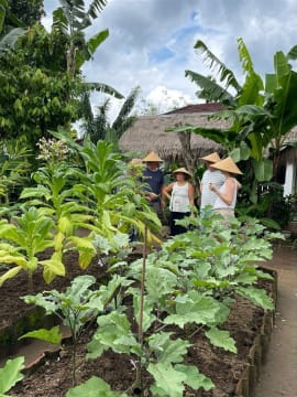 Eco Resort Indonesia - Well Established