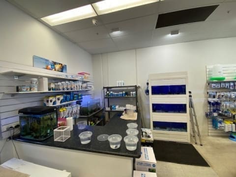 Northam's Only Pet Store For Sale