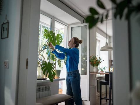 Sri23hsebogleyf62fkd