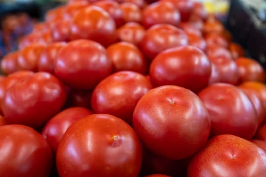 Ssc4oz9hfphjjdulthea