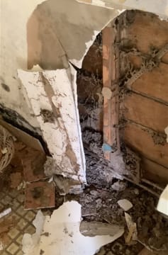 Queensland Pest Inspections & Reports Gold Coast