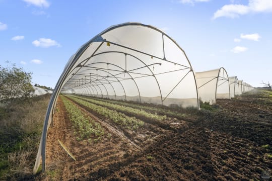 Sta9wzbwrva7stzmquf0