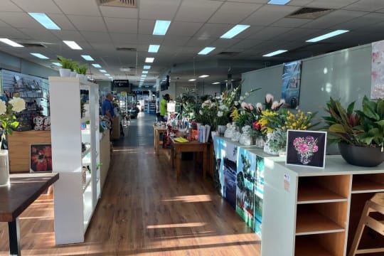 Stbwwfnii6w2z4vwu4zg