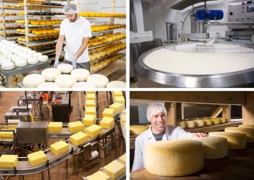 Premium Artisan Cheese Manufacturing & Retail Business | Dandenong, VIC