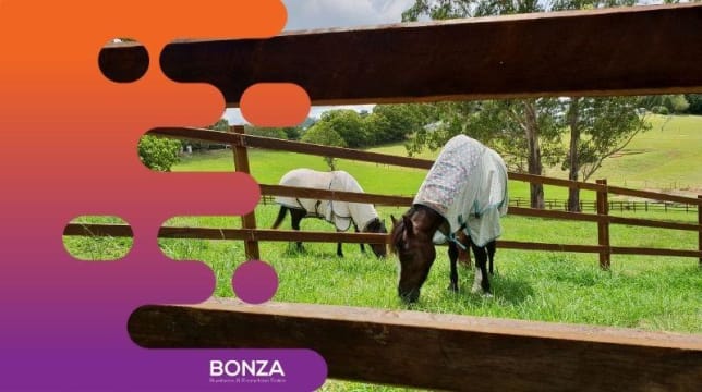 36139 - Profitable Rural Fencing Business for Sale