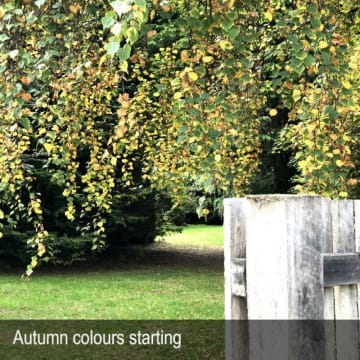 HERITAGE SEED BANK and OPEN GARDEN