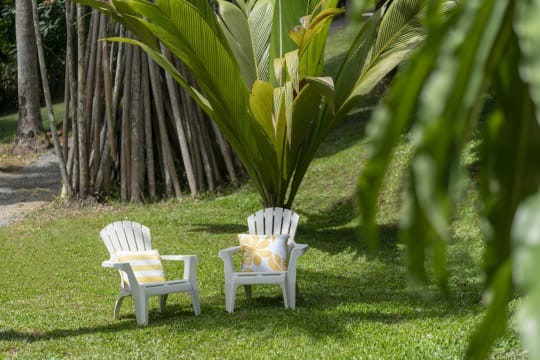 Daintree Rainforest Luxe Eco Lodge For Sale