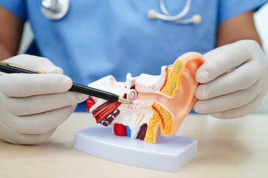 Occupational Noise Management Business – Adelaide, SA