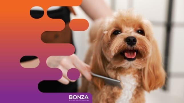 36635 Profitable Mobile Dog Grooming Business - Open To Offers
