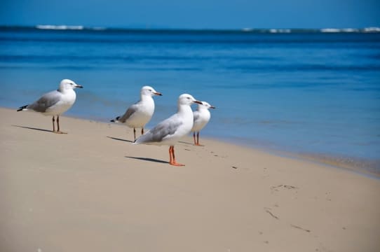 Luxury Coastal Management Rights - ID 9227