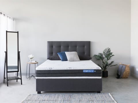 Established Retail Business For Sale with Option to Buy FREEHOLD