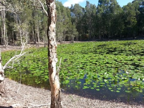 Tfmjwwakcsfnrbx0xkk4