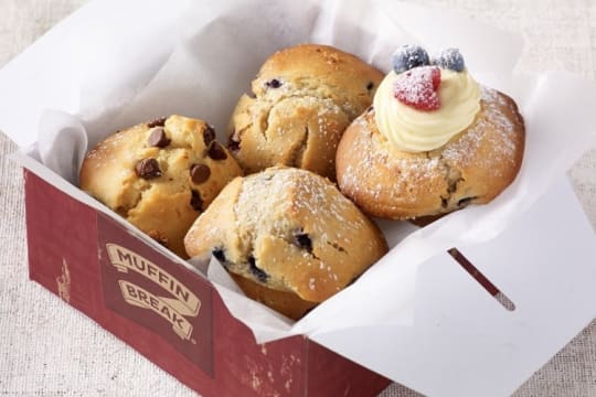 LEASEHOLD - Muffin Break, Albury - 1P0602