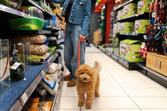 ESTABLISHED PET AND STOCK SUPPLY RETAILER