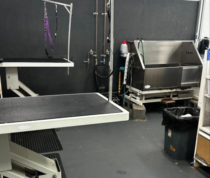 Dog Grooming Salon and Pet Supplies Store – Windradyne, NSW